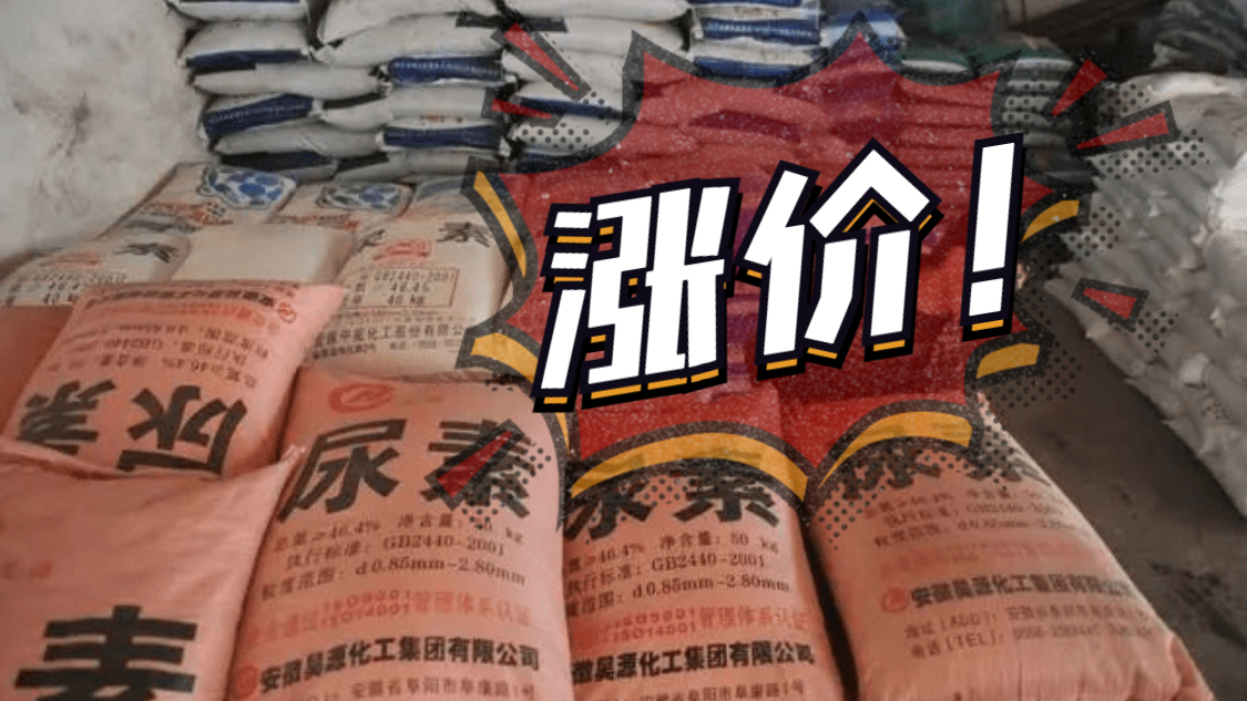 一噸再漲100元，將突破2800元！已經(jīng)連續(xù)暴漲近400元！多地價(jià)格再創(chuàng)新高！9月14日（附最新報(bào)價(jià)）！