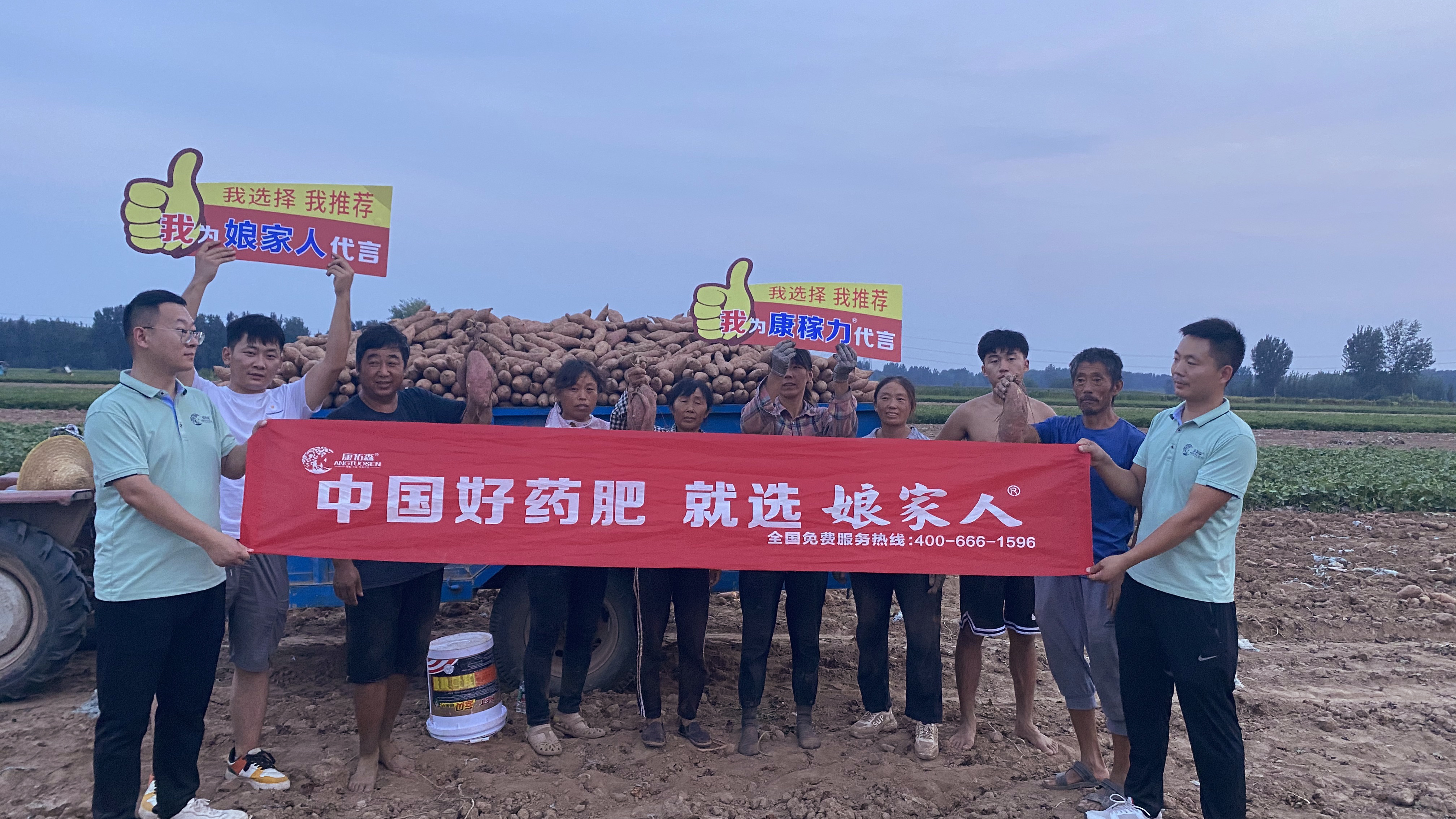 想要紅薯沒病害沒蟲咬？向他學習！